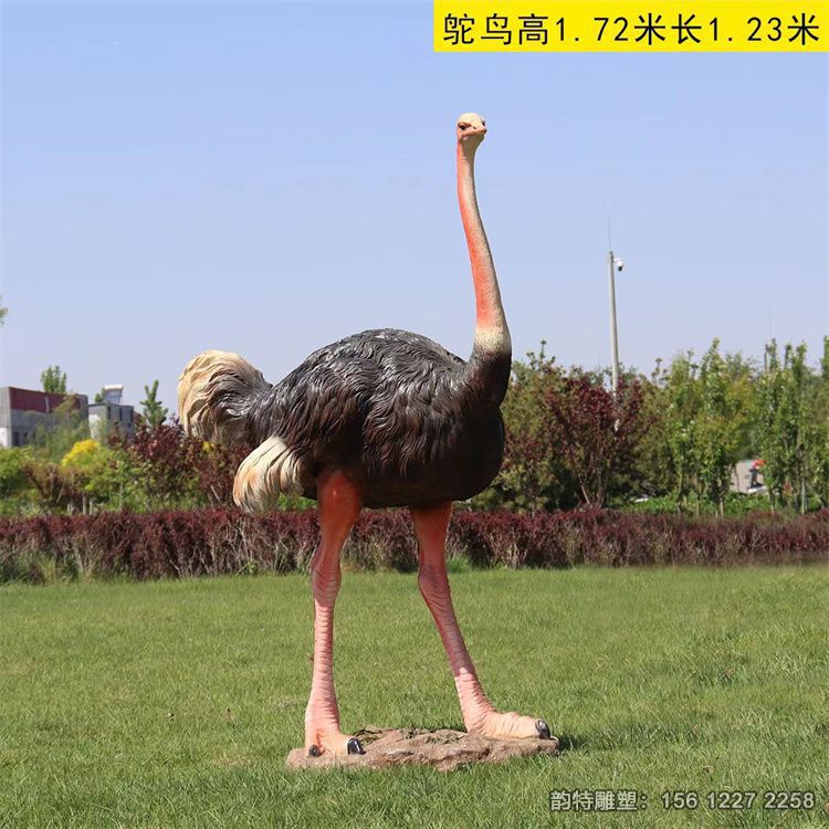 玻璃鋼鴕鳥(niǎo)雕塑 捕獲了鴕鳥(niǎo)的高雅與威勢(shì)