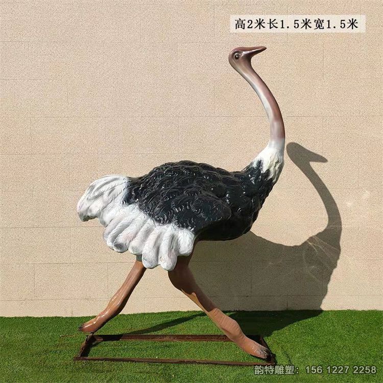 鴕鳥(niǎo)1 鴕鳥(niǎo)1